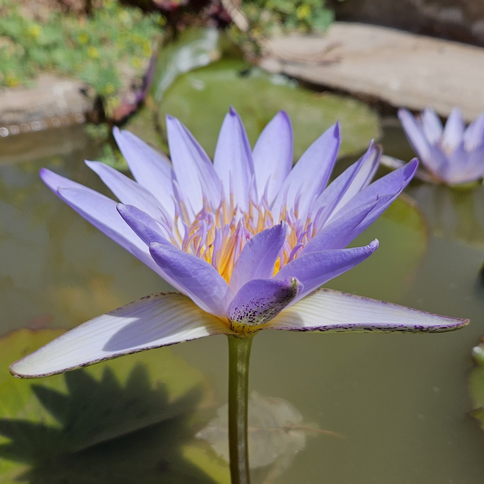 20250322_131740square